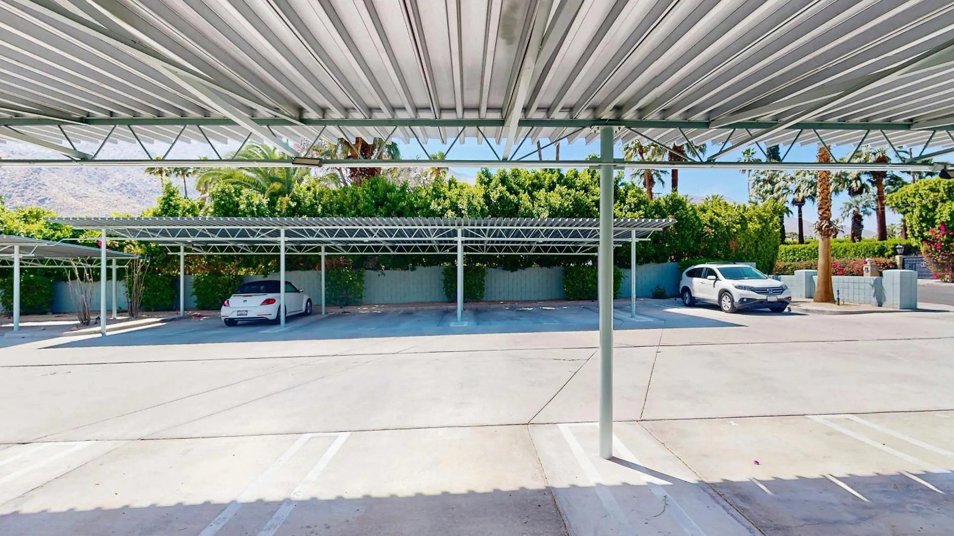 Sordid Lives Condo Permit# 3202 Palm Springs ABD