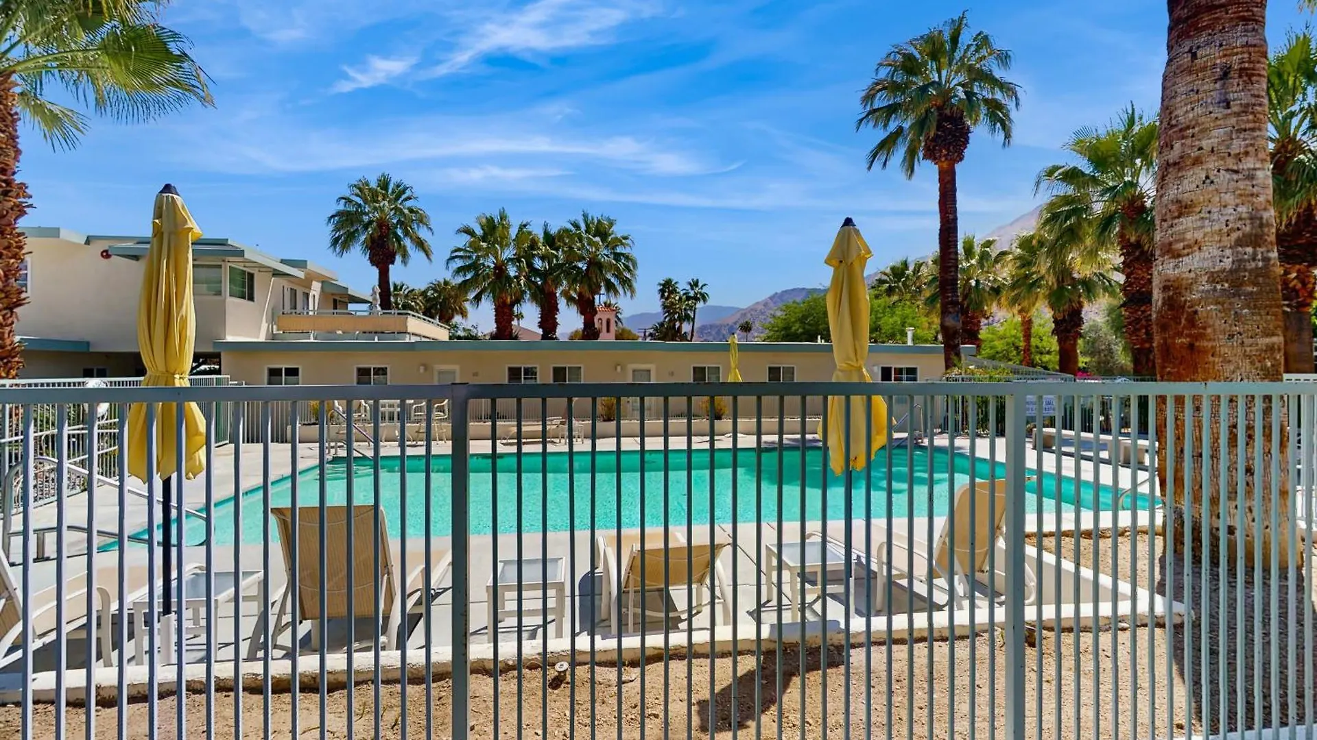 Sordid Lives Condo Permit# 3202 Palm Springs